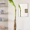 Arcs Mirror Rectangle S - Mirrored