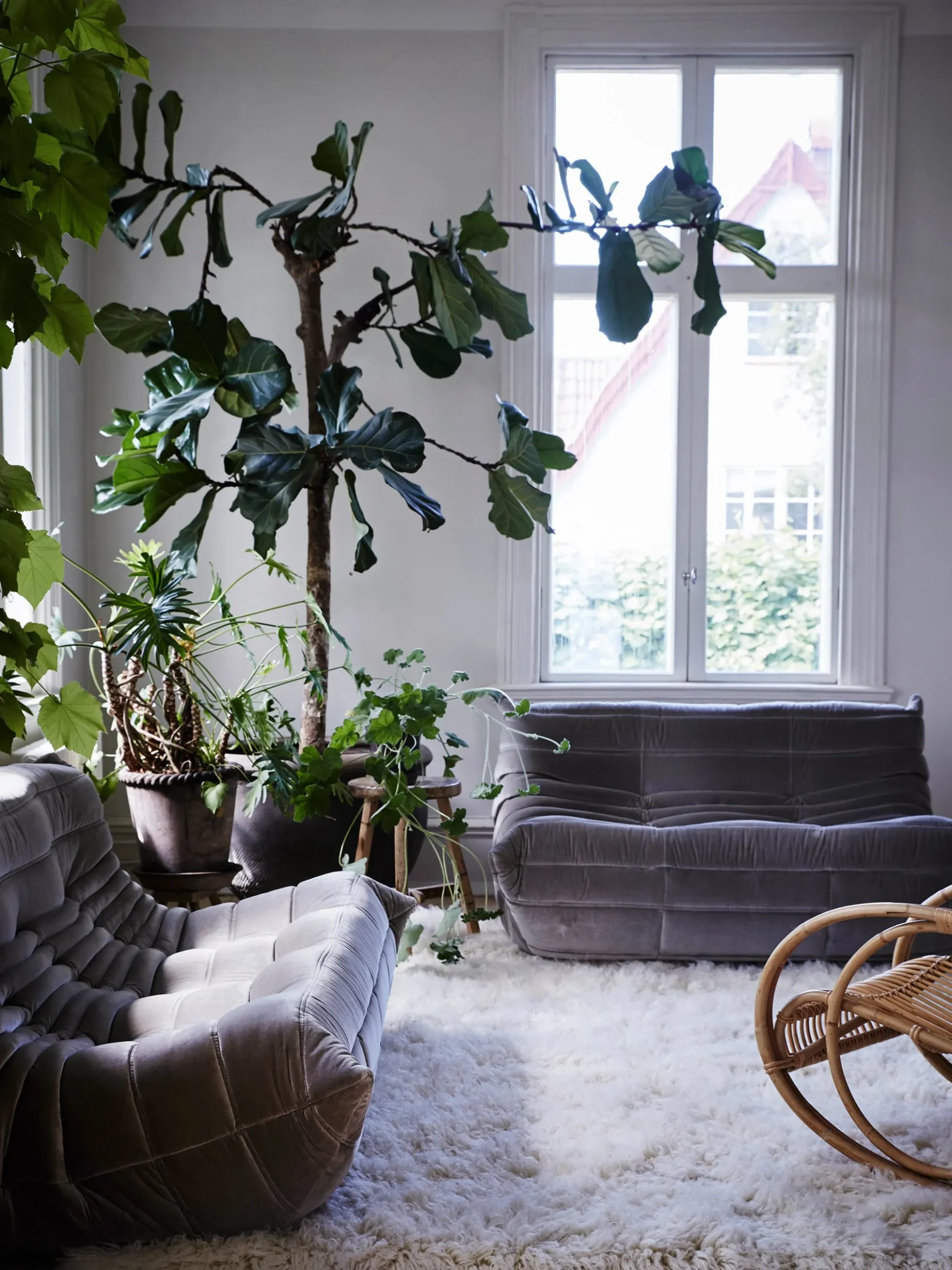 Berger Rug - Nature