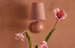 Bole Sconce