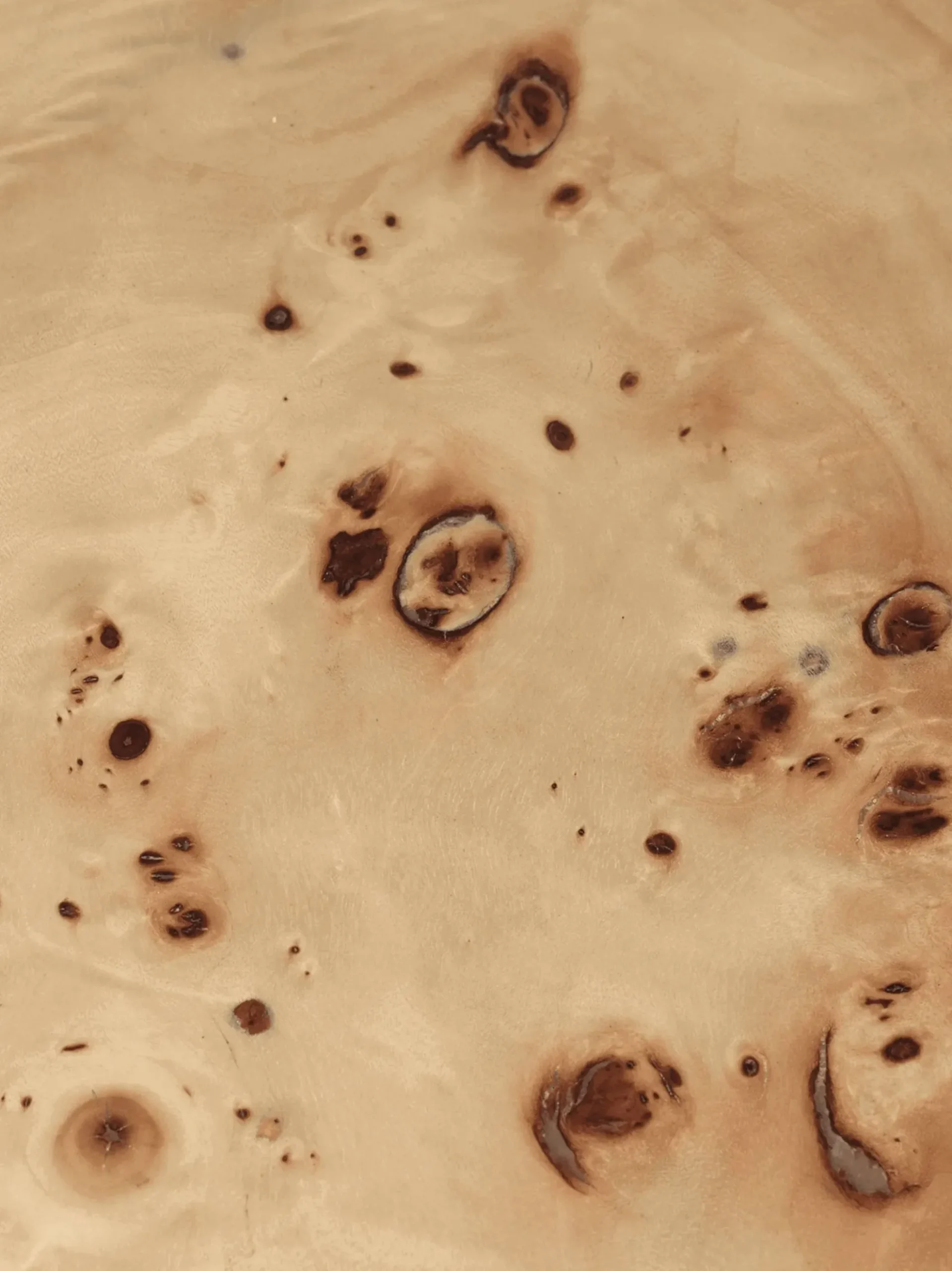Burl Post Coffee Table