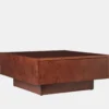 Burl Storage Coffee Table