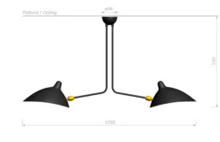 Ceiling Lamp with Two Fixed Arms