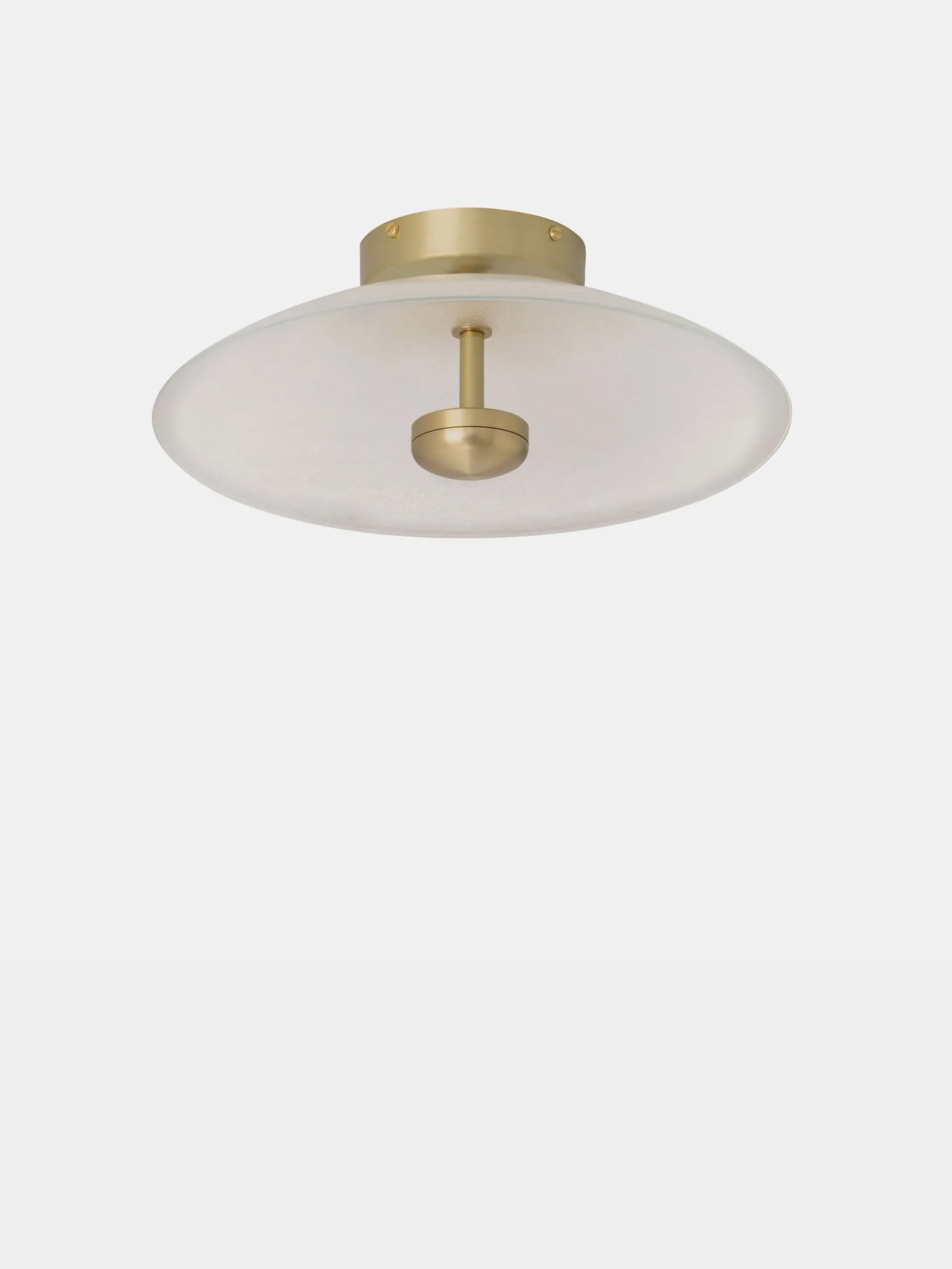 Cielo Ceiling/Wall Mounted