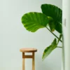 Commune Stool