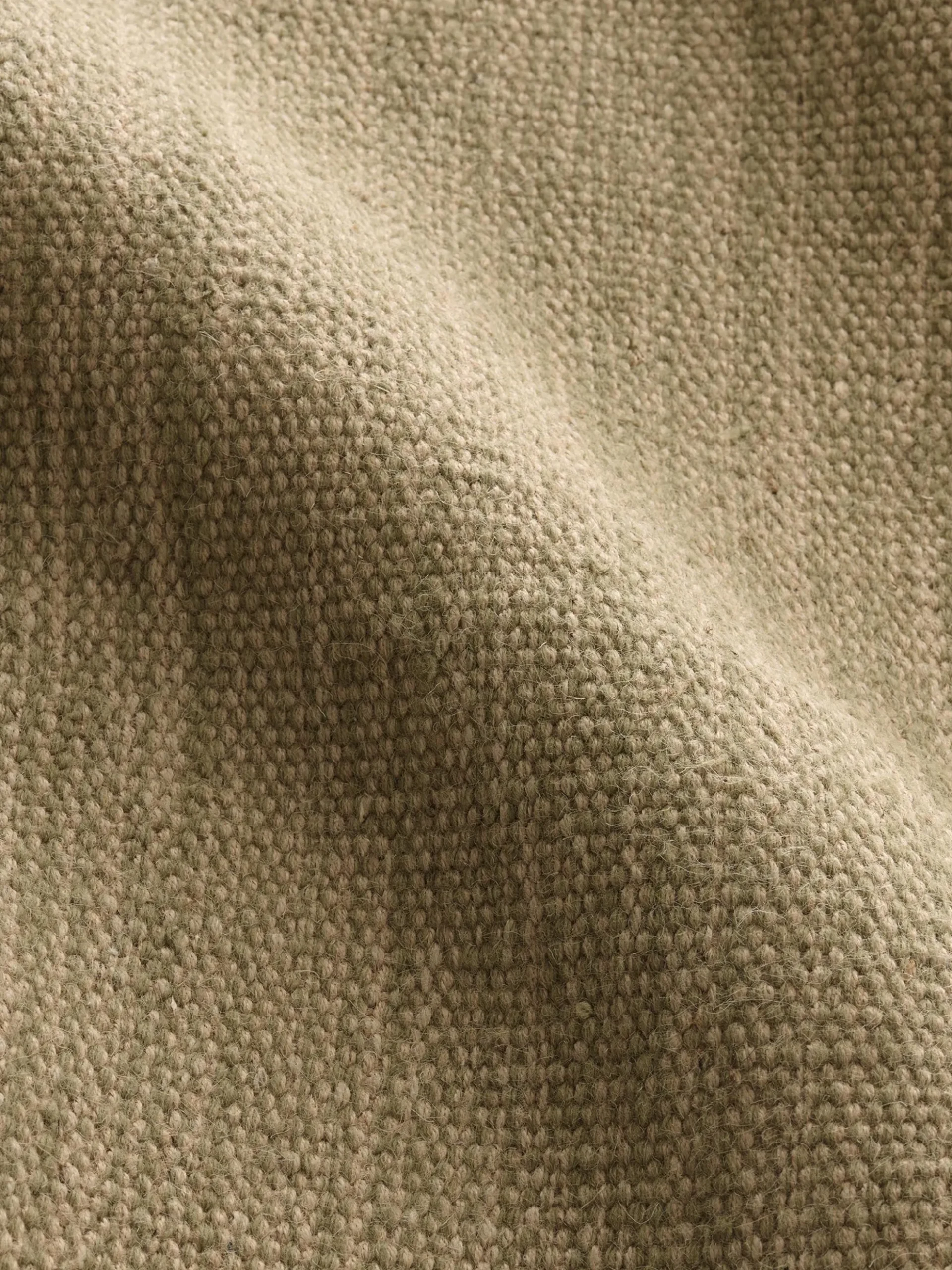 Desert - Fern