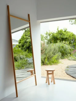 Extend Mirrors