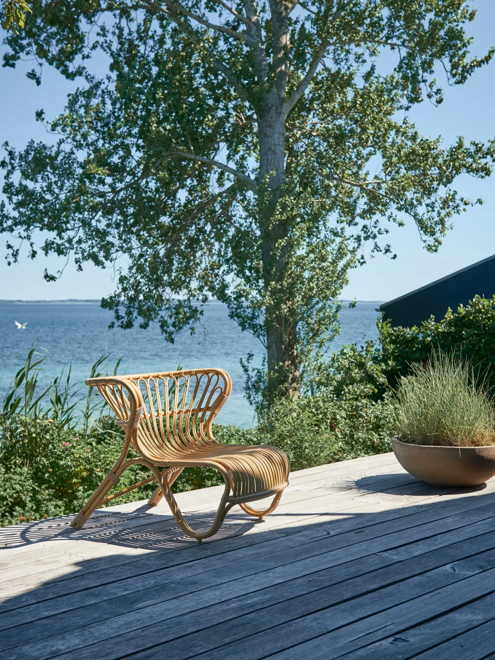 Fox Exterior Lounge Chair