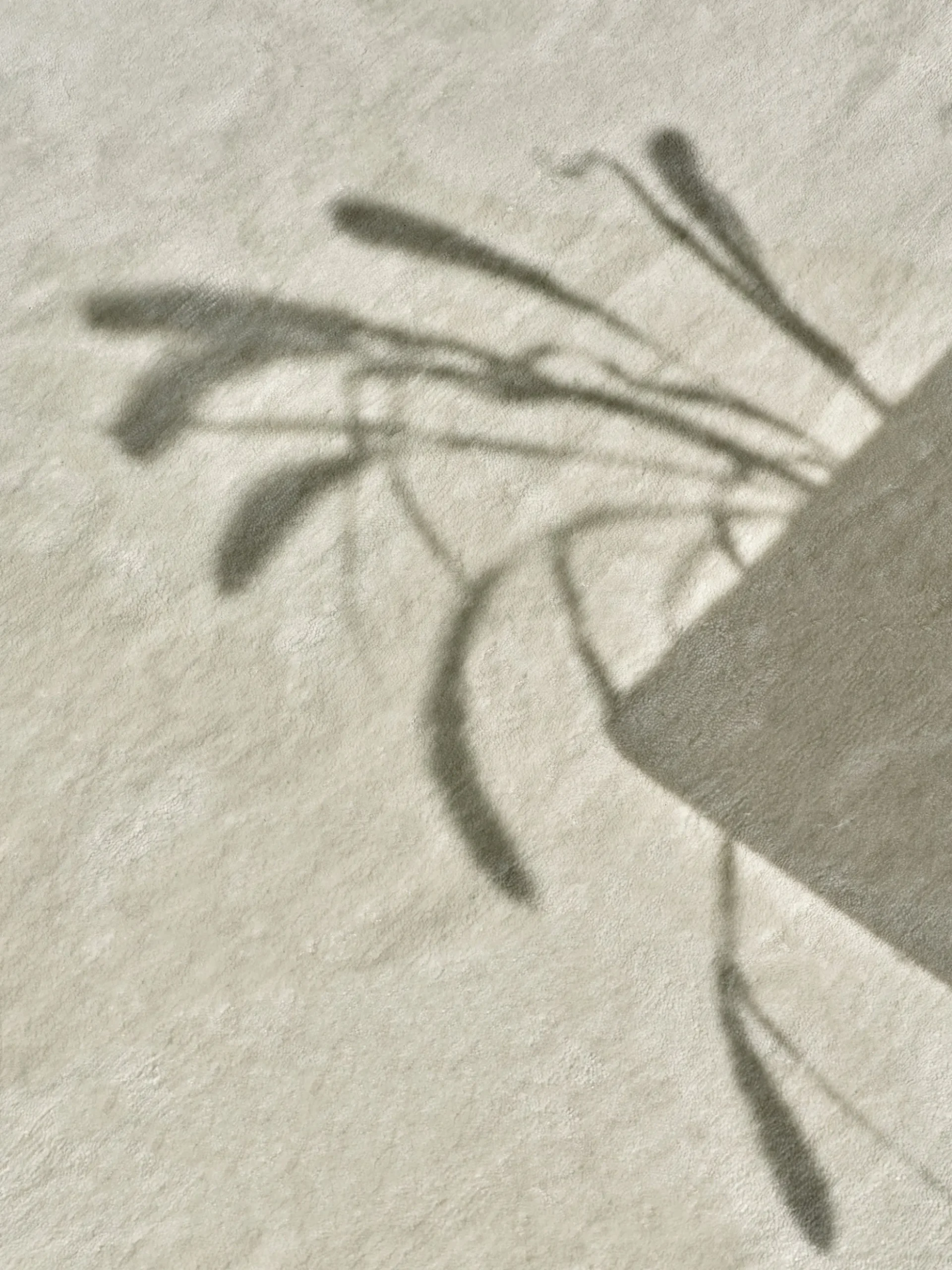 Grand - Dusty White