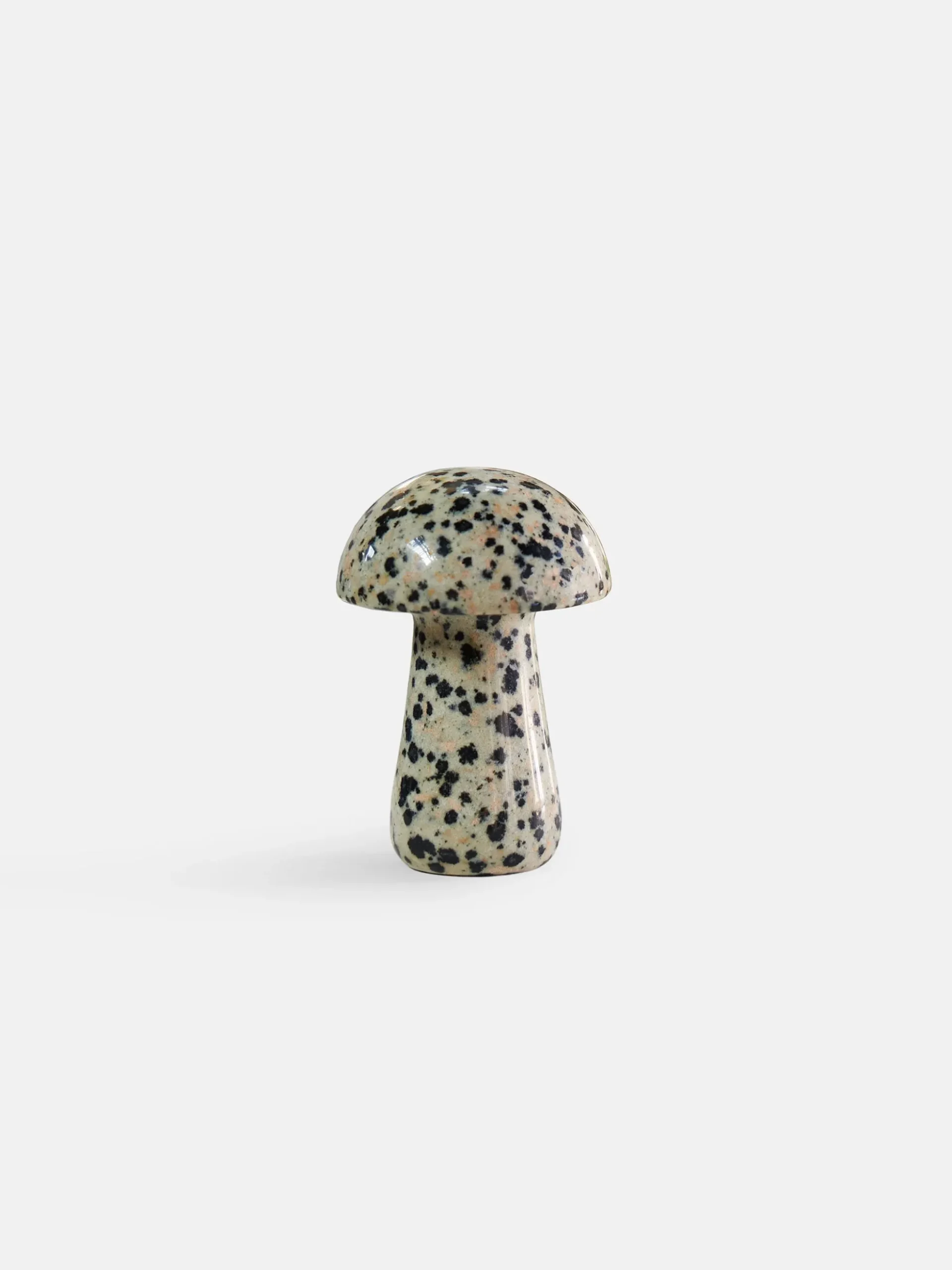 Gua Shroom - Dalmation