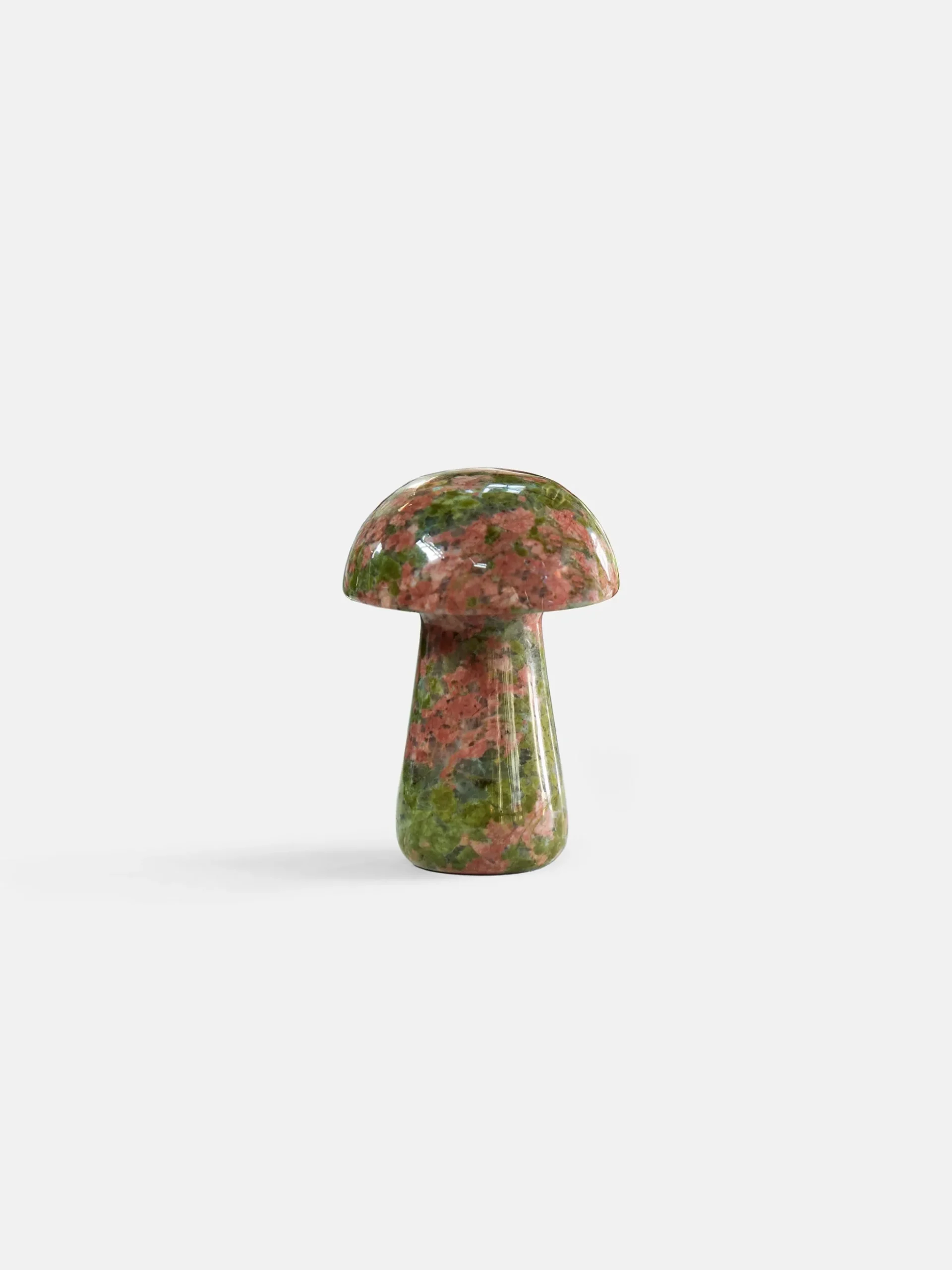 Gua Shroom - Unakite