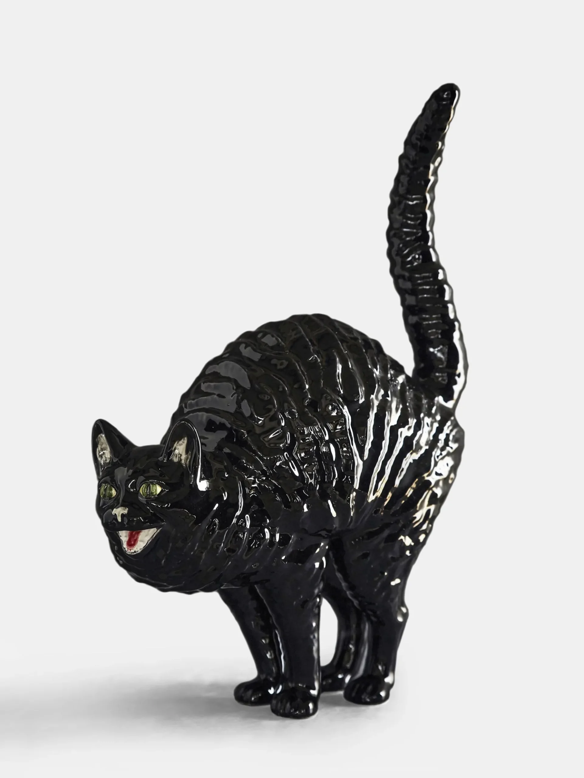 Hissing Cat Gato