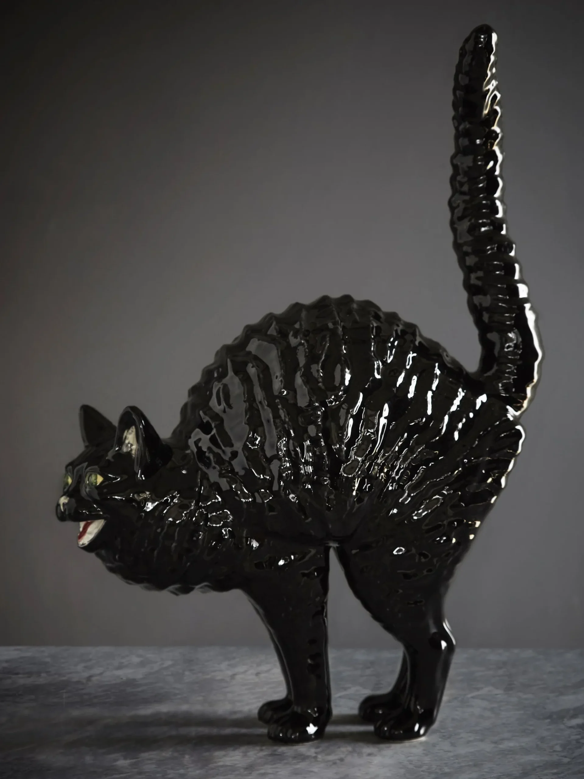 Hissing Cat Gato