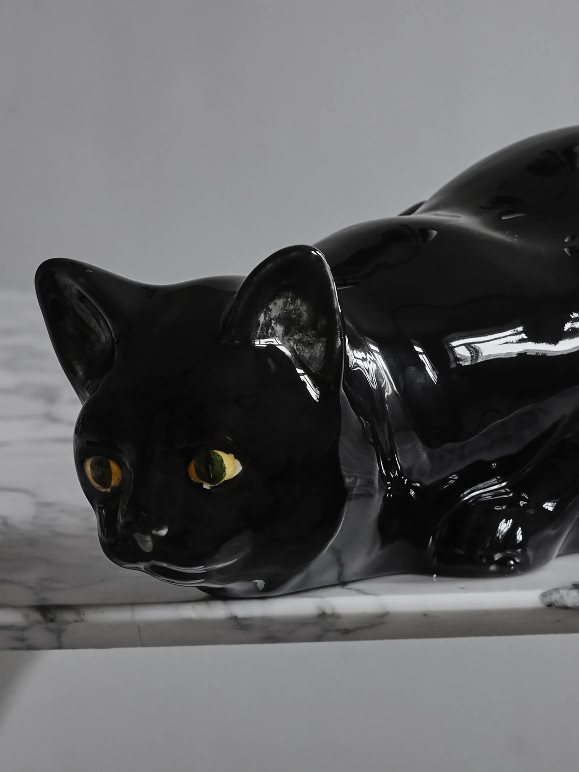 Hunting Cat