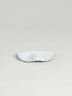 Ivan Dish
