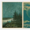 John Derian Picture Book II
