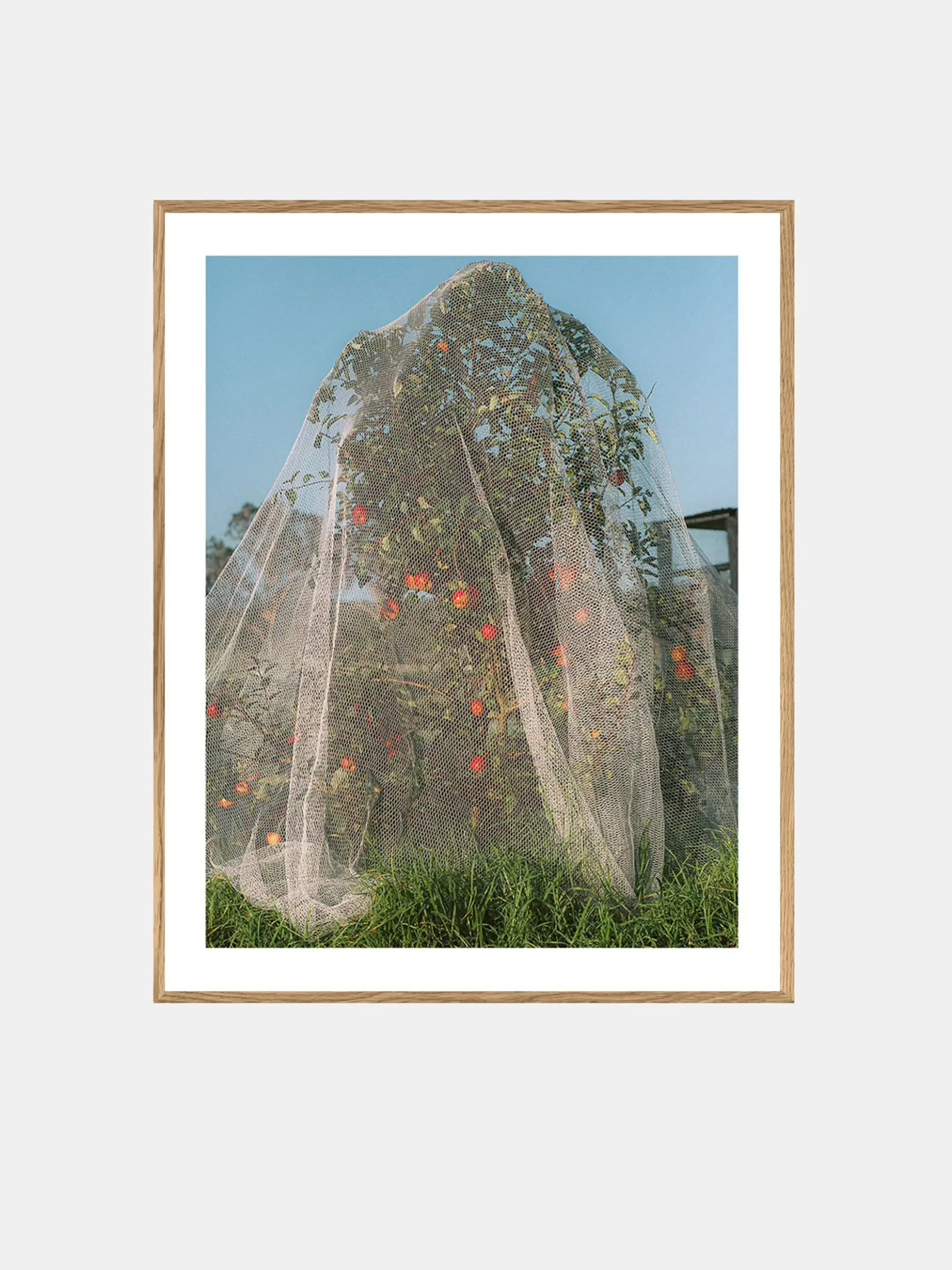 Lee Burnett - Apple Tree