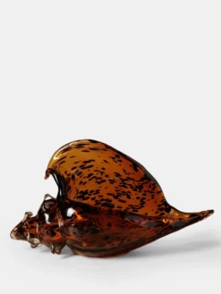 Leopard Shell - Large