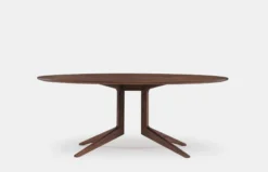 Light Oval Table