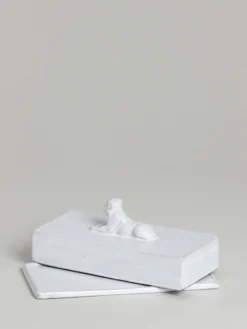 Lion Incense Box