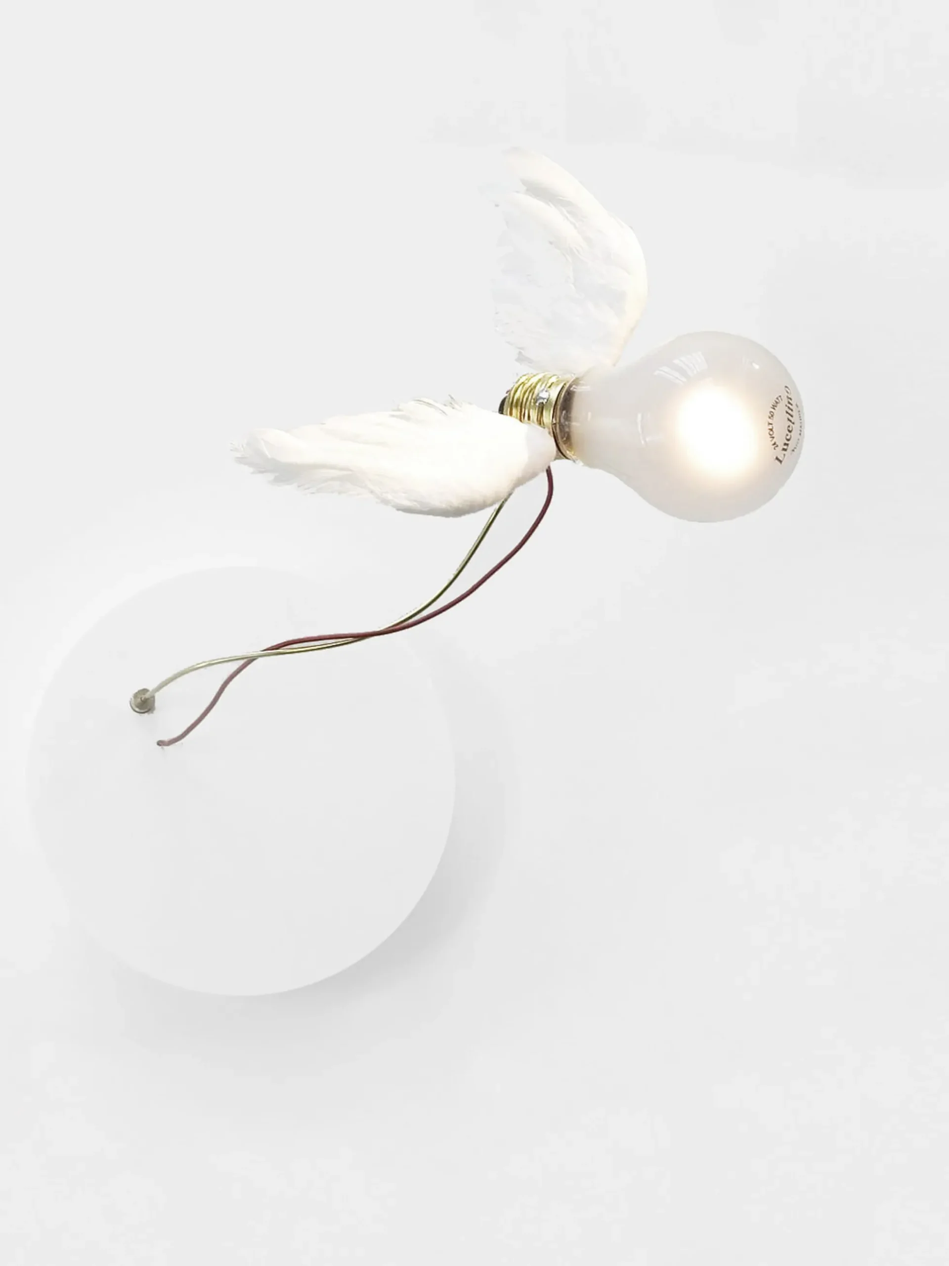 Lucellino Nt Wall Lamp