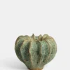 Moss Vase Green - Small