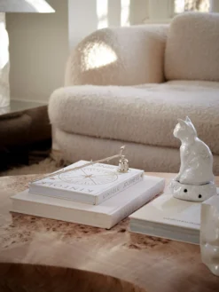 Mung Coffee Table