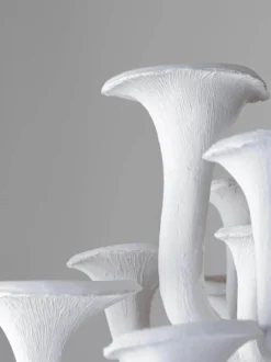 Mushroom Ceiling Light