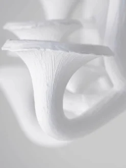 Mushroom Ceiling Light