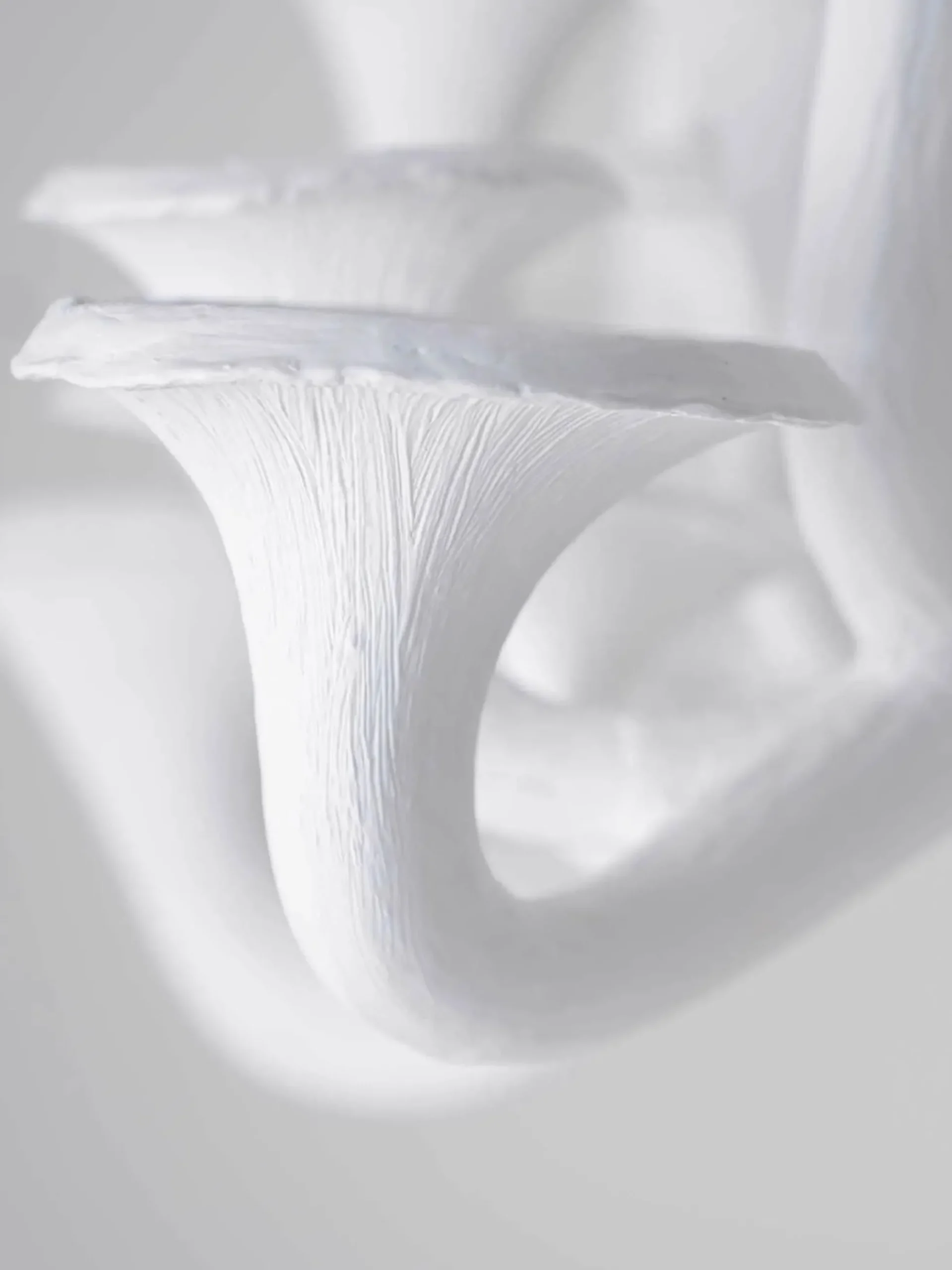 Mushroom Ceiling Light