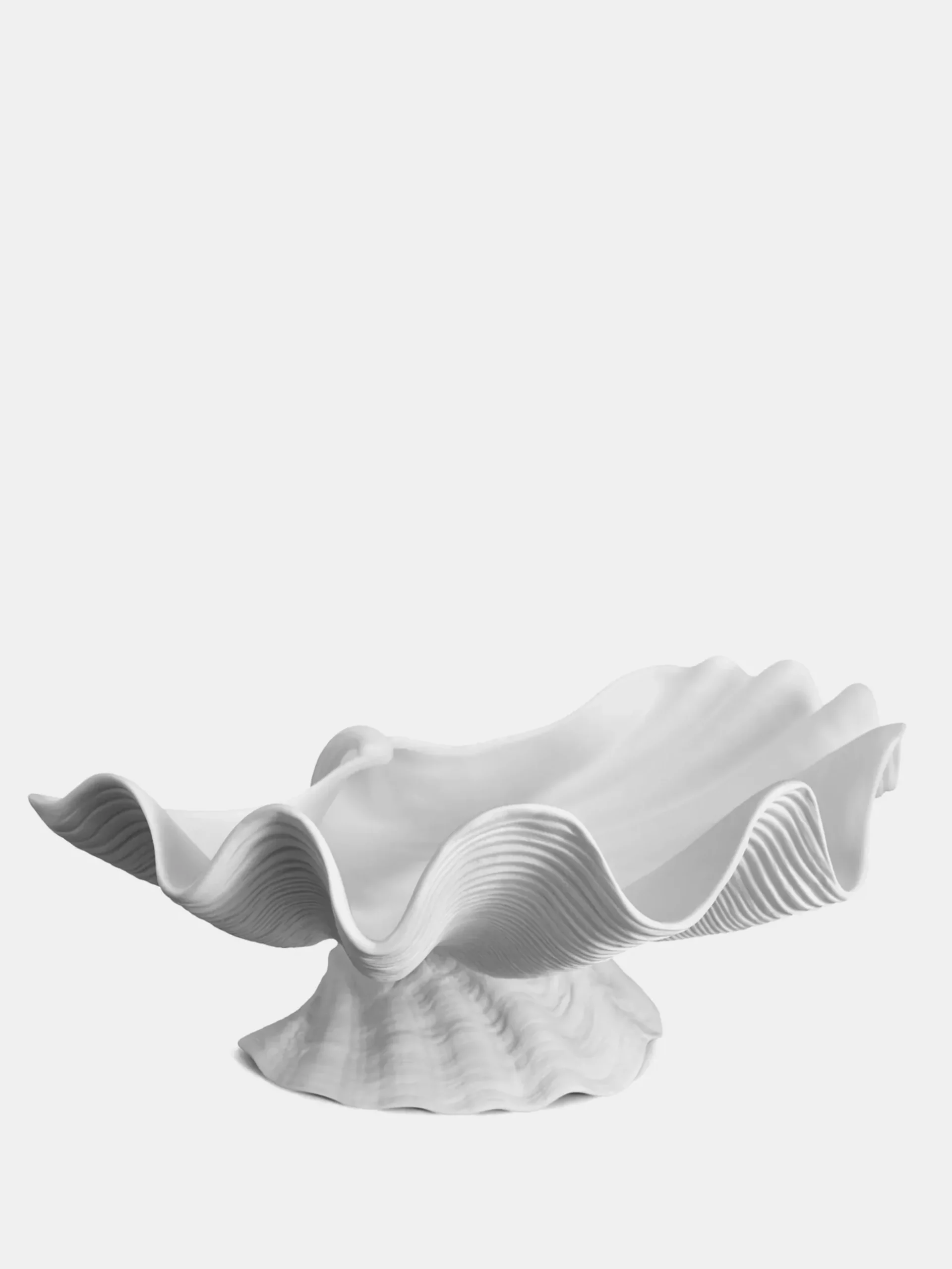 Neptune Shell Bowl