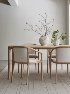NF-DC01 Dining Chair