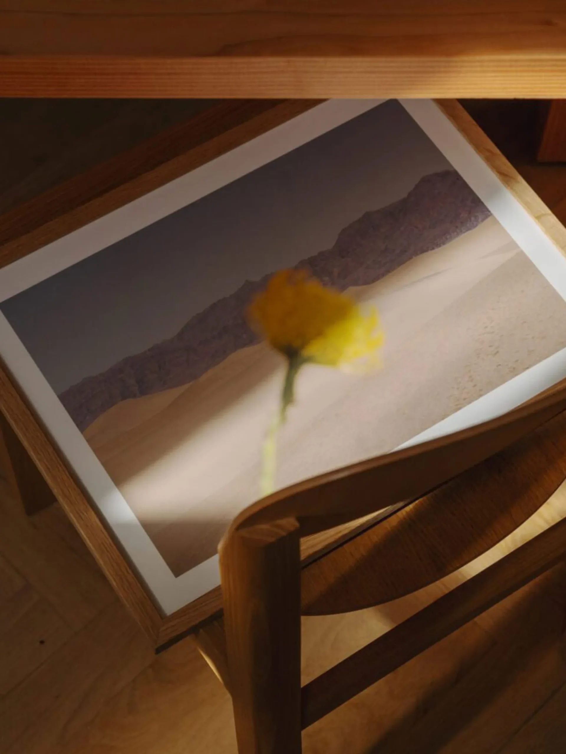 Nicole Mason - Desert Mirage