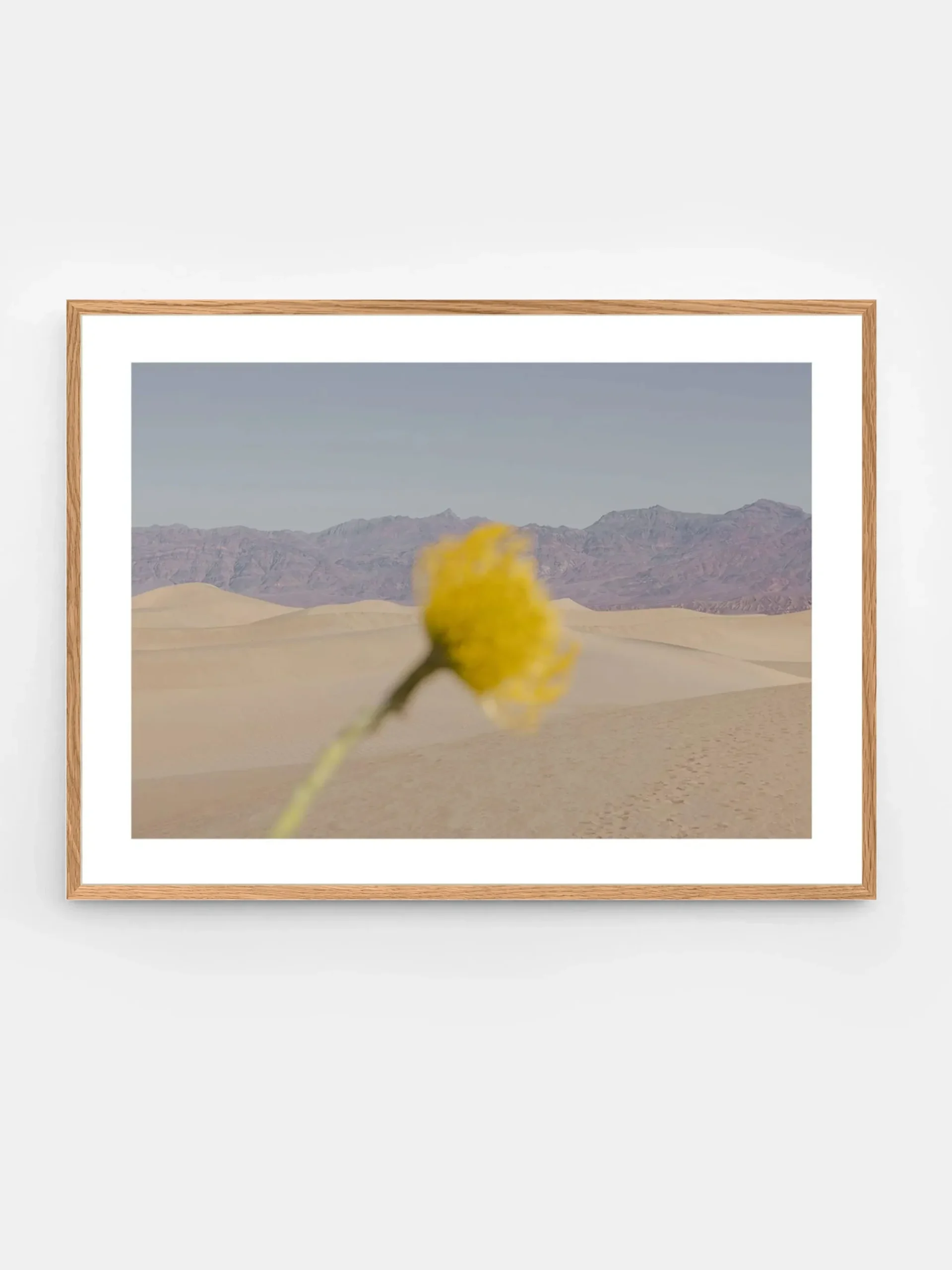 Nicole Mason - Desert Mirage
