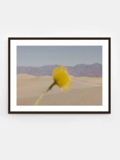 Nicole Mason - Desert Mirage