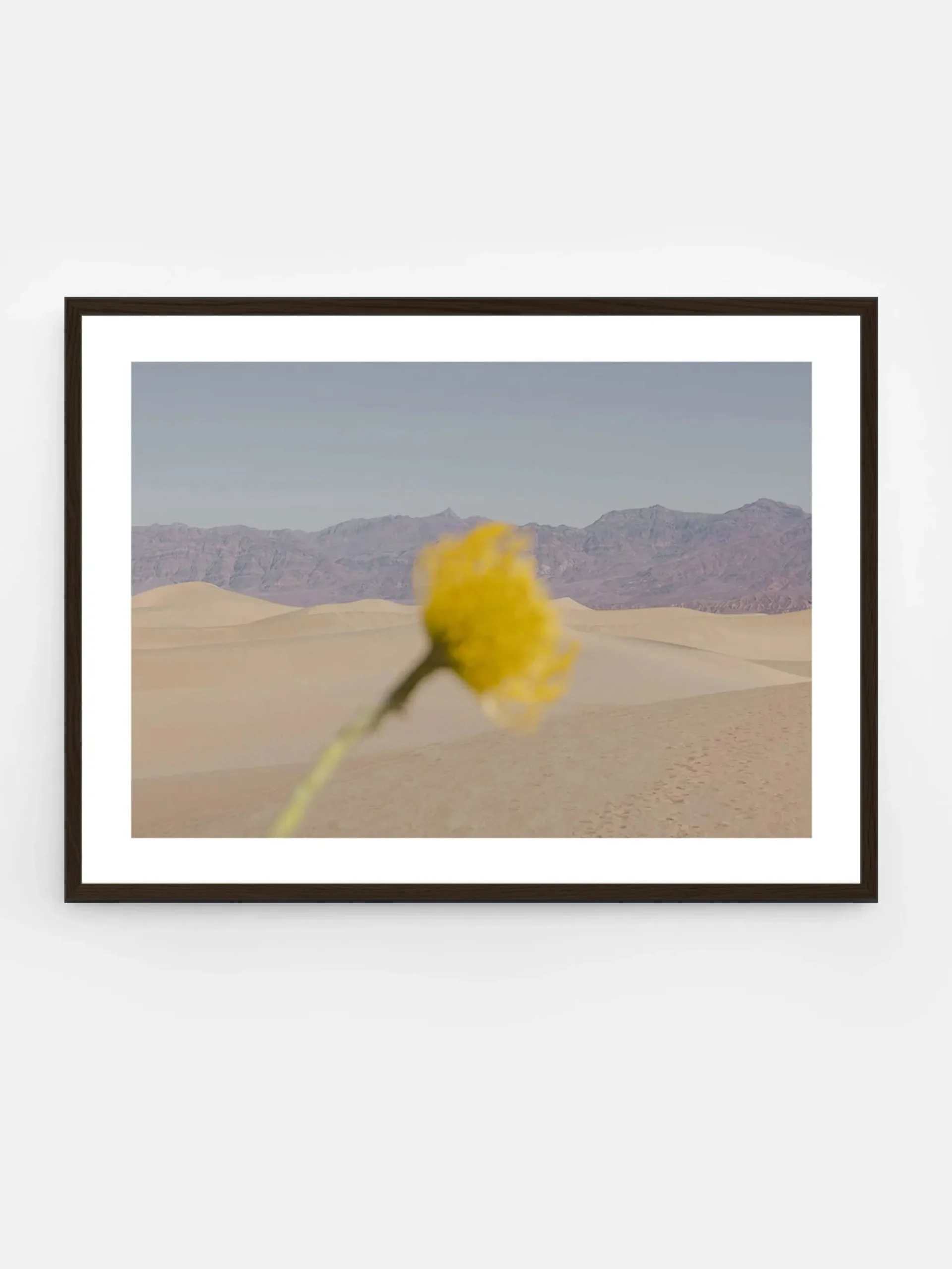 Nicole Mason - Desert Mirage