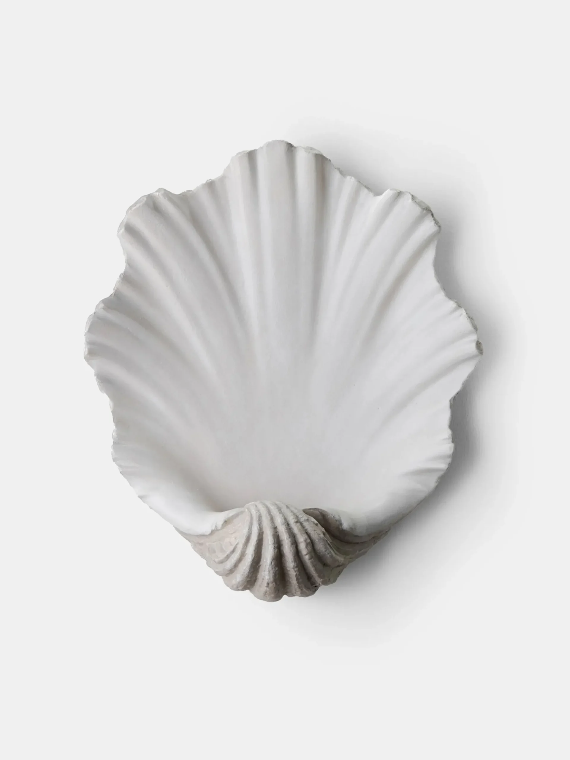 Scallop Shell Wall Light