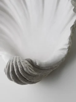 Scallop Shell Wall Light