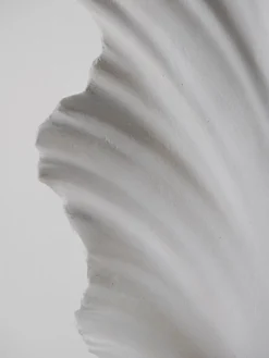 Scallop Shell Wall Light