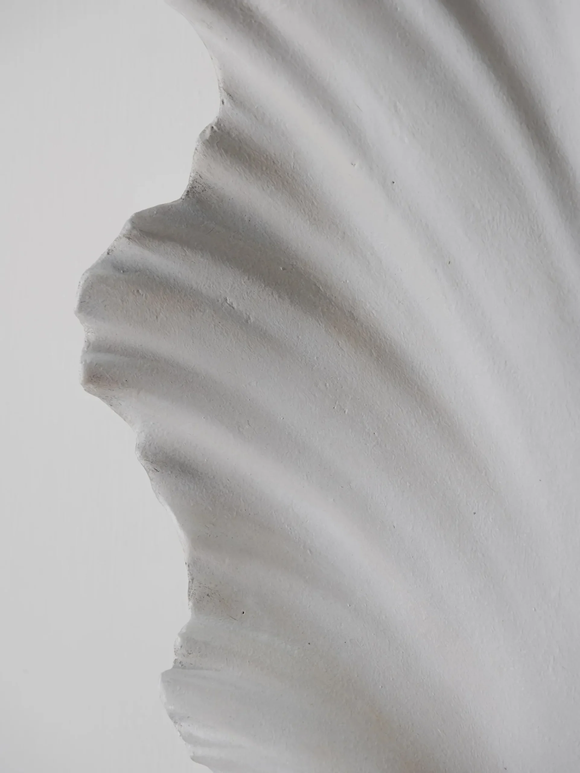Scallop Shell Wall Light