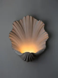 Scallop Shell Wall Light