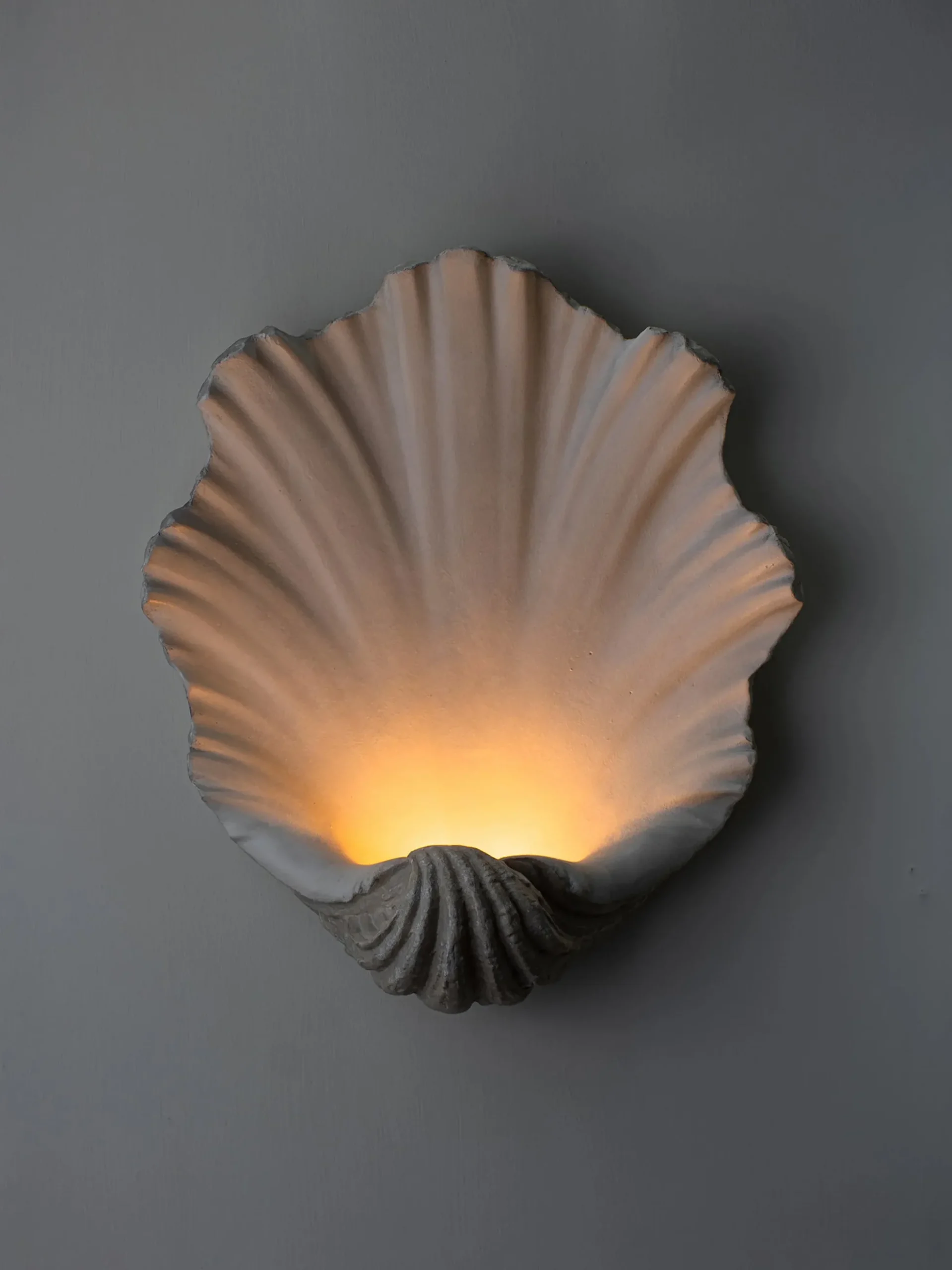 Scallop Shell Wall Light