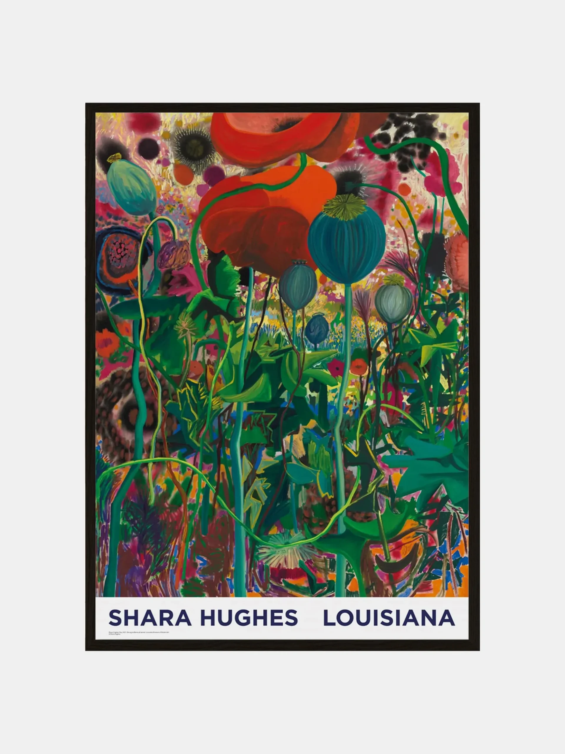 Shara Hughes - Pop 2021
