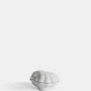 Shell Box