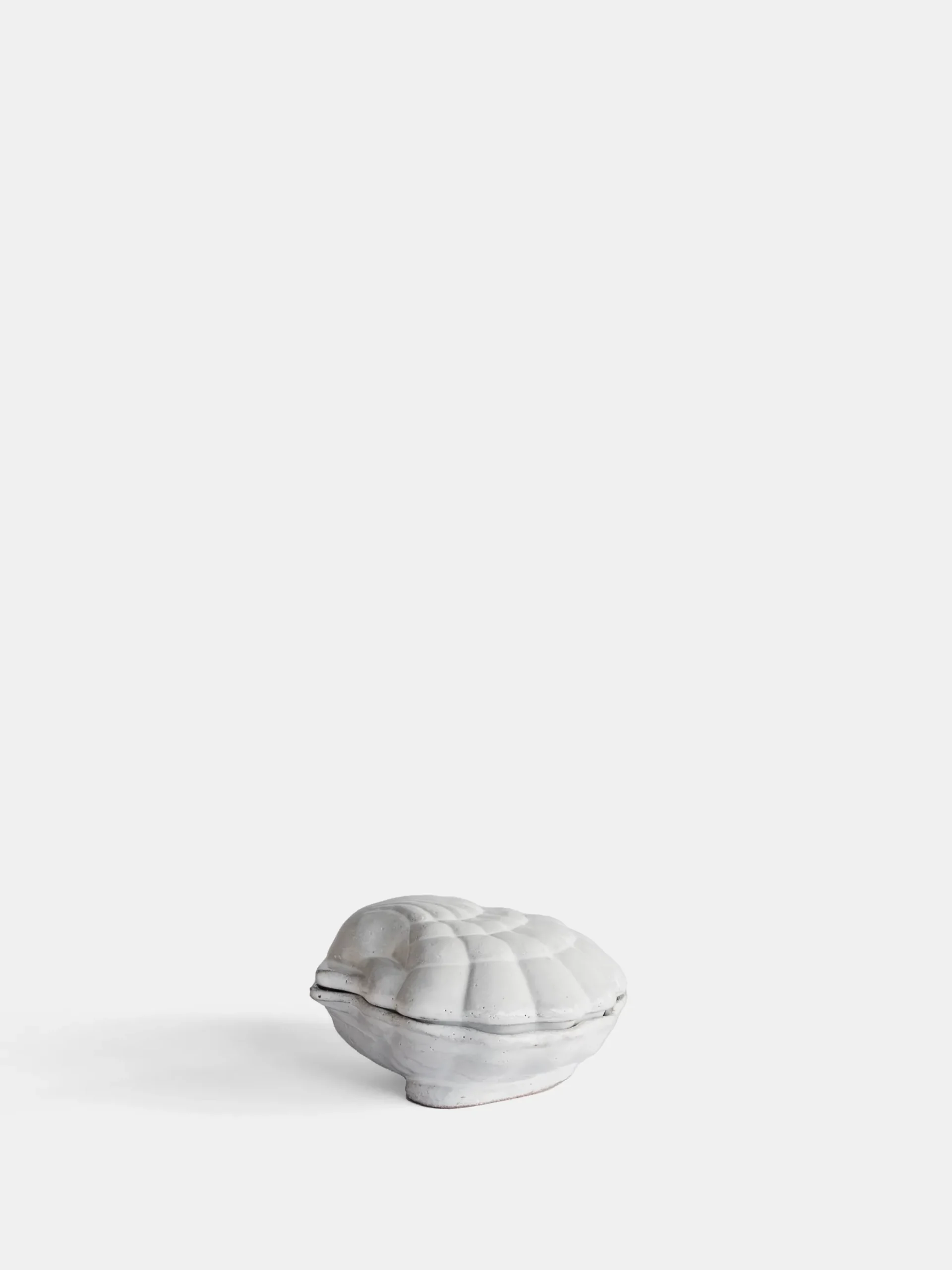 Shell Box