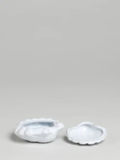 Shell Box