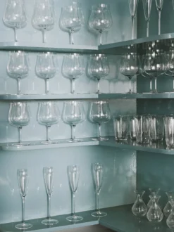 Silhouette Champagne Flute