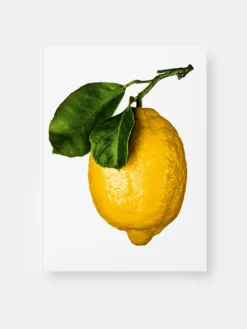 The Gourmand's Lemon - A Collection of Stories and Recipes